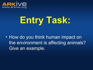 Entry Task:
• How do you think human impact on
the environment is affecting animals?
Give an example.
 