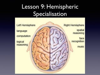 Lesson 9: Hemispheric
Specialisation
 
