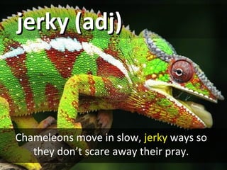jerky (adj)jerky (adj)
Chameleons move in slow, jerky ways so
they don’t scare away their pray.
 