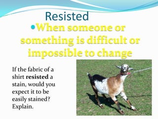ResistedWhen someone or something is difficult or impossible to changeIf the fabric of a shirt resisted a stain, would you expect it to be easily stained?  Explain.
