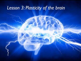 Lesson 3: Plasticity of the brain
 