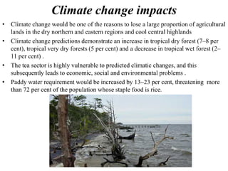 Climate change impacts
• Climate change would be one of the reasons to lose a large proportion of agricultural
lands in the dry northern and eastern regions and cool central highlands
• Climate change predictions demonstrate an increase in tropical dry forest (7–8 per
cent), tropical very dry forests (5 per cent) and a decrease in tropical wet forest (2–
11 per cent) .
• The tea sector is highly vulnerable to predicted climatic changes, and this
subsequently leads to economic, social and environmental problems .
• Paddy water requirement would be increased by 13–23 per cent, threatening more
than 72 per cent of the population whose staple food is rice.
 
