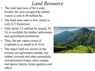 Land Resource
• The total land area of Sri Lanka
besides the area occupied by inland
waters is only 6.44 million ha.
• The land–man ratio is low, which is
only 0.37 ha/person,
• Only about 2.5 million ha (nearly 39
%) is available for further settlements
and agricultural production.
• Thus, the per capita extent of
croplands is as small as 0.14 ha.
• The major land use sectors in the
country are agriculture (paddy, tea,
rubber, coconut and other perennials,
non-perennial crops), close canopy
and sparse forests, home gardens and
others
 