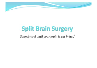 Sounds	
  cool	
  until	
  your	
  brain	
  is	
  cut	
  in	
  half	
  

 
