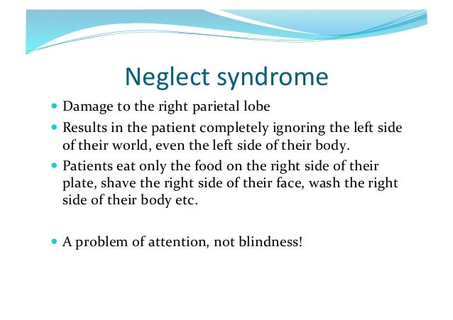 (Lesson 9 2013) split brain studies