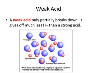 Weak Acid
• A weak acid only partially breaks down. It
gives off much less H+ than a strong acid.
 