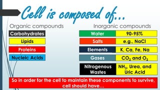 Cell is composed of…Organic compounds Inorganic compounds
Carbohydrates 90-95%
Lipids
Proteins
Nucleic Acids
Water
e.g., NaClSalts
K, Ca, Fe, Na
CO2 and O2
Elements
NH3, Urea, and
Uric Acid
Gases
Nitrogenous
Wastes
So in order for the cell to maintain these components to survive,
cell should have…
 