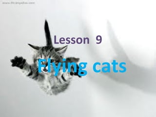 Lesson  9  Flying cats 