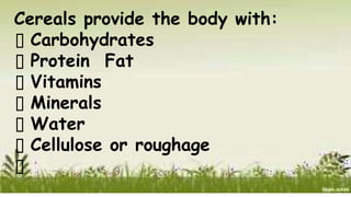 Cereals provide the body with:
Carbohydrates
Protein Fat
Vitamins
Minerals
Water
Cellulose or roughage
 