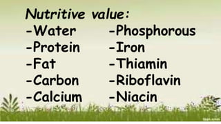 Nutritive value:
-Water
-Protein
-Fat
-Carbon
-Calcium
-Phosphorous
-Iron
-Thiamin
-Riboflavin
-Niacin
 