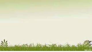 lesson9starchcookery-190220011422.pptx