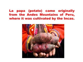 La papa (potato) came originally
from the Andes Mountains of Peru,
where it was cultivated by the Incas.
 