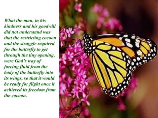 What the man, in his
kindness and his goodwill
did not understand was
that the restricting cocoon
and the struggle required
for the butterfly to get
through the tiny opening,
were God’s way of
forcing fluid from the
body of the butterfly into
its wings, so that it would
be ready for flight once it
achieved its freedom from
the cocoon.
 