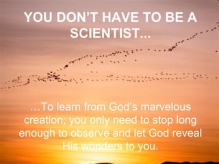 … To learn from God’s marvelous creation; you only need to stop long enough to observe and let God reveal His wonders to you. YOU DON’T HAVE TO BE A SCIENTIST... 