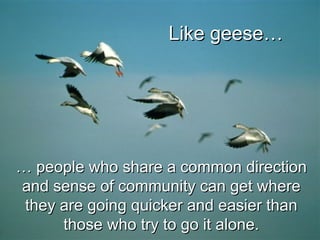 …  people who share a common direction and sense of community can get where they are going quicker and easier than those who try to go it alone. Like geese…   