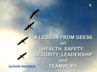A LESSON FROM GEESE
on
HEALTH, SAFETY,
SECURITY, LEADERSHIP
and
TEAMWORKAUTHOR UNKNOWN
 