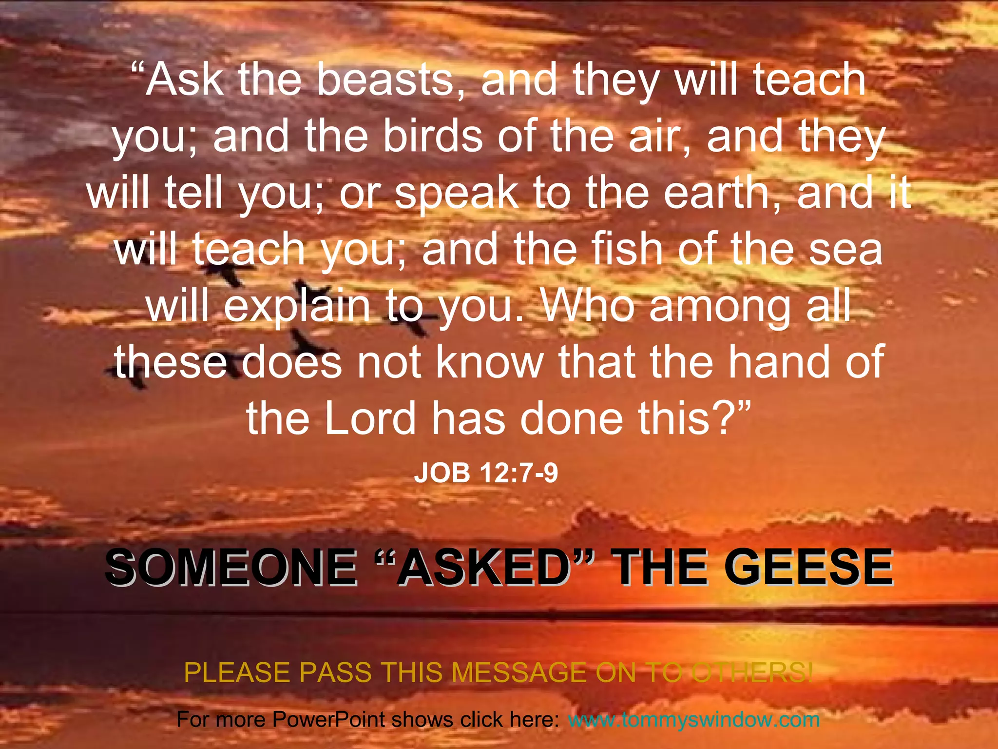 “Ask the beasts, and they will teach
you; and the birds of the air, and they
will tell you; or speak to the earth, and it
will teach you; and the fish of the sea
will explain to you. Who among all
these does not know that the hand of
the Lord has done this?”
JOB 12:7-9

SOMEONE “ASKED” THE GEESE
PLEASE PASS THIS MESSAGE ON TO OTHERS!
For more PowerPoint shows click here: www.tommyswindow.com

 