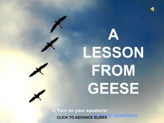 A
LESSON
FROM
GEESE
♫ Turn on your speakers!
CLICK TO ADVANCEAUTHOR UNKNOWN
SLIDES

 