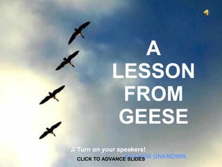A LESSON FROM GEESE AUTHOR UNKNOWN CLICK TO ADVANCE SLIDES ♫  Turn on your speakers! 