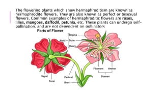 Flowers And Reproduction PPTX flowers-and-reproduction-pptx