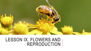 LESSON IX. FLOWERS AND
REPRODUCTION
 