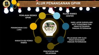 Alur Rabies LESSON LEARN RABIES CENTER KOTA BLITAR 301121.pptx
