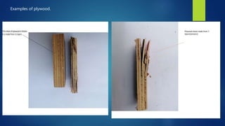 Examples of plywood.
 