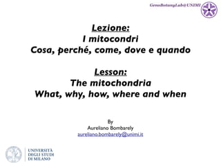 Lezione:
I mitocondri
Cosa, perché, come, dove e quando
Lesson:
The mitochondria
What, why, how, where and when
By
Aureliano Bombarely
aureliano.bombarely@unimi.it
GenoBotanyLab@UNIMI
 