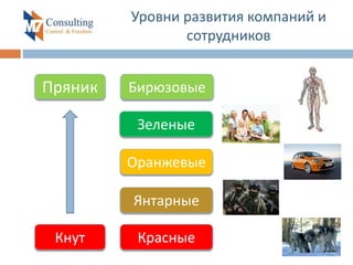 Уровни развития компаний и
сотрудников
Кнут
Пряник
Красные
Янтарные
Оранжевые
Зеленые
Бирюзовые
 