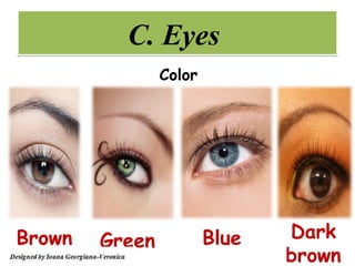 C. Eyes
                Color




Brown   Green           Blue   Dark
                               brown
 