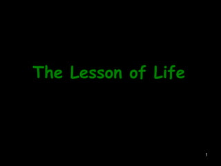 The Lesson of Life       