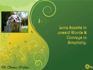 Lesson of Love   