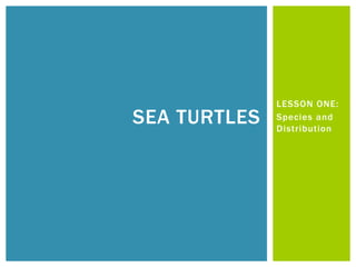 LESSON ONE:
SEA TURTLES   Species and
              Distribution
 