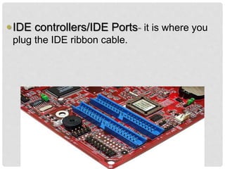 IDE controllers/IDE Ports- it is where you
plug the IDE ribbon cable.
 