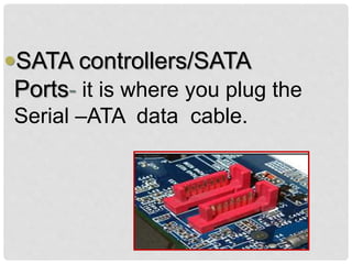 SATA controllers/SATA
Ports- it is where you plug the
Serial –ATA data cable.
 