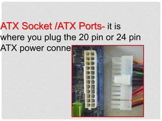 ATX Socket /ATX Ports- it is
where you plug the 20 pin or 24 pin
ATX power connector.
 