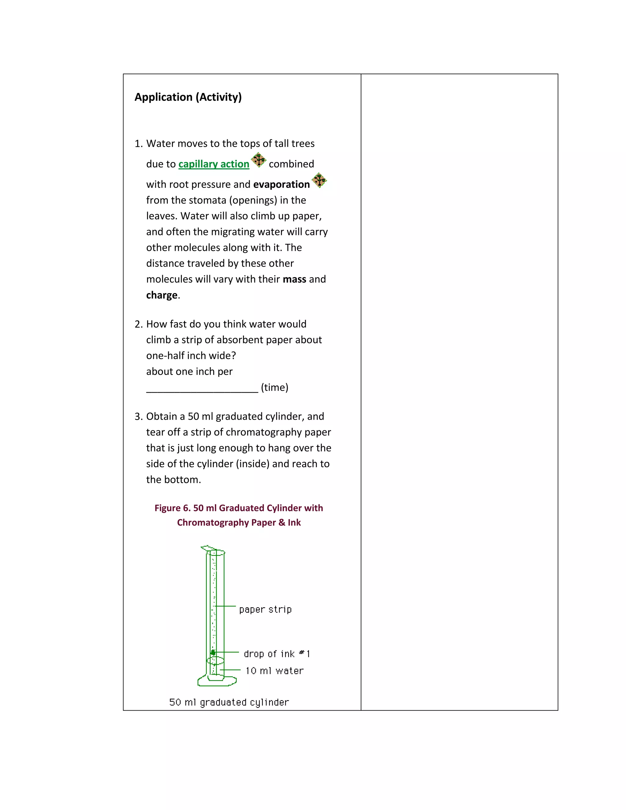 Application (Activity)


1. Water moves to the tops of tall trees
  due to capillary action     combined
  with root pressure and evaporation
  from the stomata (openings) in the
  leaves. Water will also climb up paper,
  and often the migrating water will carry
  other molecules along with it. The
  distance traveled by these other
  molecules will vary with their mass and
  charge.

2. How fast do you think water would
   climb a strip of absorbent paper about
   one-half inch wide?
   about one inch per
   ____________________ (time)

3. Obtain a 50 ml graduated cylinder, and
   tear off a strip of chromatography paper
   that is just long enough to hang over the
   side of the cylinder (inside) and reach to
   the bottom.

    Figure 6. 50 ml Graduated Cylinder with
         Chromatography Paper & Ink
 