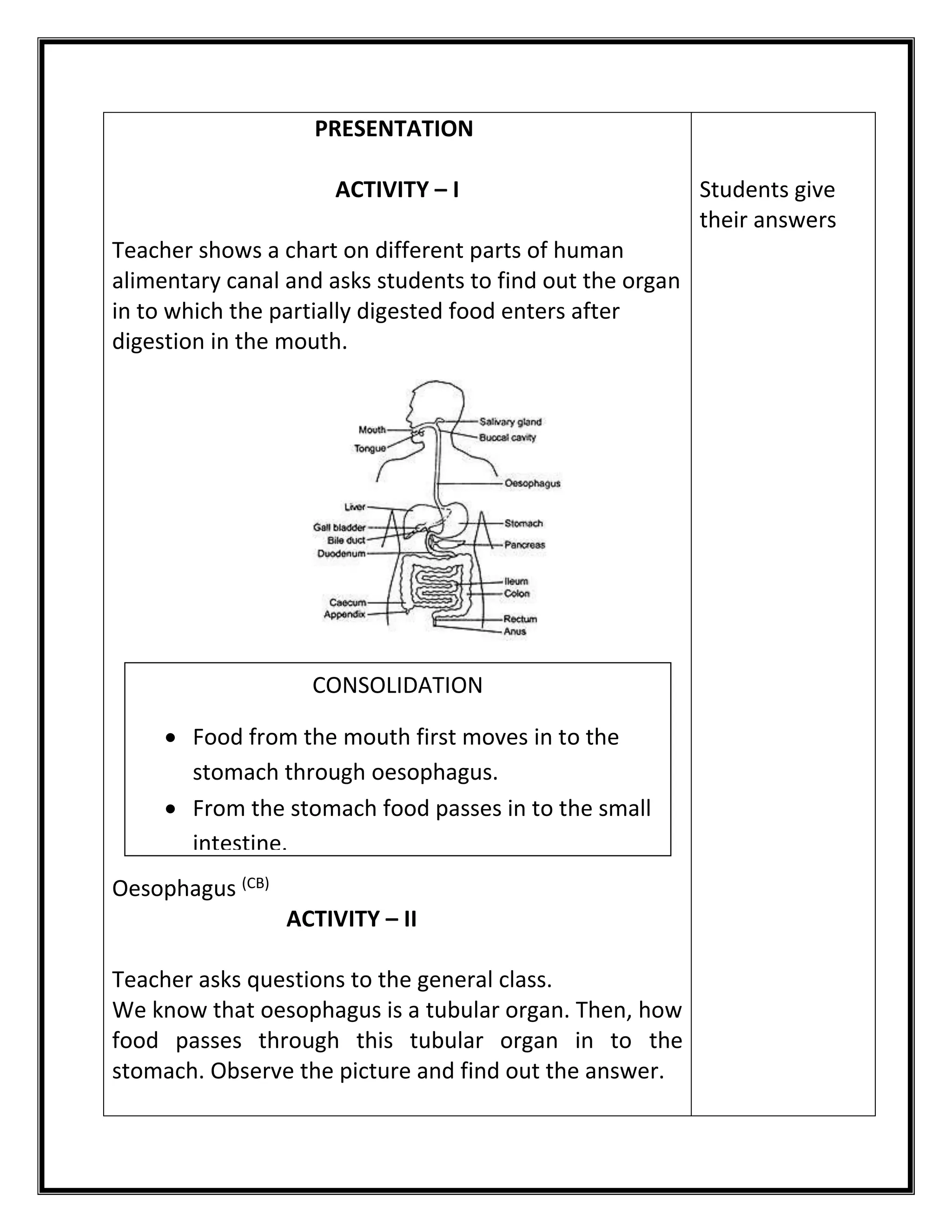 PRESENTATION 
ACTIVITY – I 
Teacher shows a chart on different parts of human 
alimentary canal and asks students to find out the organ 
in to which the partially digested food enters after 
digestion in the mouth. 
Oesophagus (CB) 
ACTIVITY – II 
Teacher asks questions to the general class. 
We know that oesophagus is a tubular organ. Then, how 
food passes through this tubular organ in to the 
stomach. Observe the picture and find out the answer. 
Students give 
their answers 
CONSOLIDATION 
 Food from the mouth first moves in to the 
stomach through oesophagus. 
 From the stomach food passes in to the small 
intestine. 
 
 