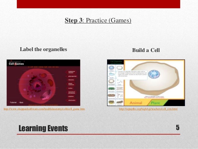 Eukaryotic Cells Brief Online Lesson Plan