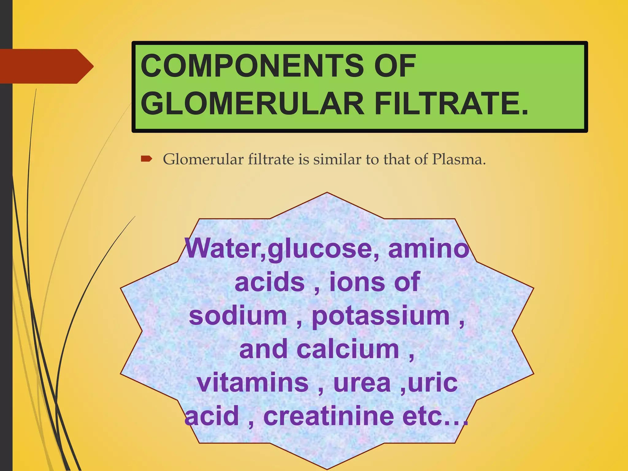 Powerpoint presentation on Urine formation | PPTX