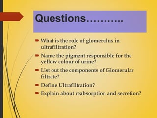 Powerpoint presentation on Urine formation | PPTX