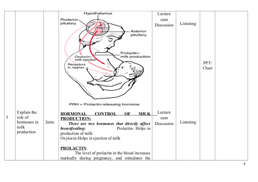 Lesson plan breast feeding