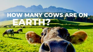 HOW MANY COWS ARE ON
EARTH?
 