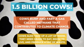 1.5 BILLION COWS!
COWS BURP AND FART A GAS
CALLED METHANE THAT
CONTRIBUTES TO CLIMATE CHANGE.
COWS ALSO TAKE UP A LOT OF ROOM.
THEY NEED GRASS TO EAT, ROOM TO
LIVE, AND PRODUCE A LOT OF WASTE.
 