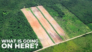 WHAT IS GOING
ON HERE?
 