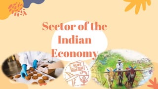 Sector of the
Indian
Economy
 