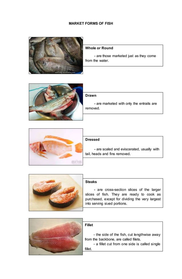 Lesson plan 2018 (market forms of fish)