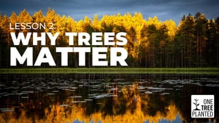 WHY TREES
LESSON 2:
MATTER
 