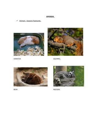 APPENDIX.
 Animals – Seasons Flashcards:
HAMSTER. SQUIRREL.
BEAR. RACOON.
 