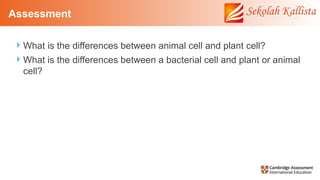Lesson Plan (4) - Animal Cell and Plant Cell.pptx